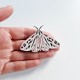 grammia arge